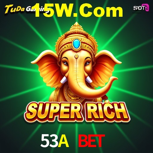 Interface Premium 53A Bet 
